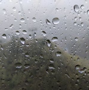 Meet your Posher, Irene